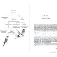 Книга издательства Альпина Нон-фикшн. Воспитание дикости. Как животные создают свою культуру (Сафина К.) в Барановичах