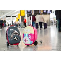 Трехколесный самокат Zinc Flyte Panda