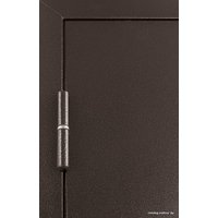 Металлическая дверь Промет Профи DL 205х125 (правый)