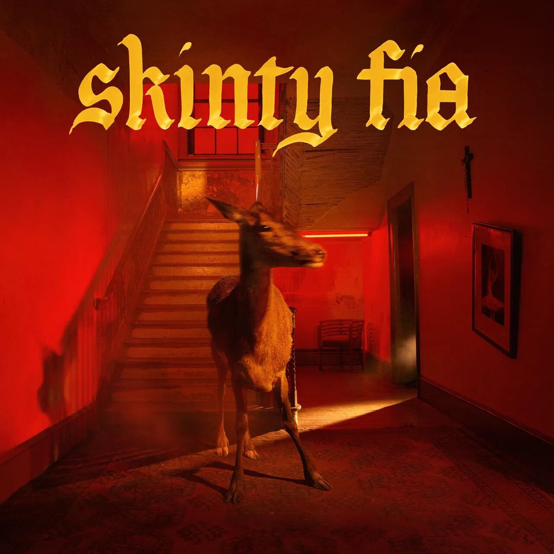 

Виниловая пластинка Fontaines D.C. - Skinty Fia (черный винил)