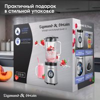 Стационарный блендер Zigmund & Shtain BS-481 D