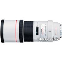 Объектив Canon EF 300mm f/4L IS USM