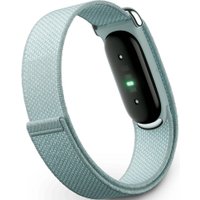 Фитнес-браслет Google Fitbit Air (туманный)