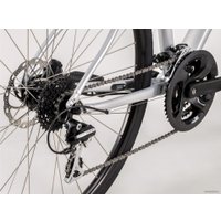 Велосипед Trek FX 2 Disc Women's Stagger L 2020 (серебристый)