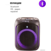 Беспроводная колонка Aiwa CAS-200