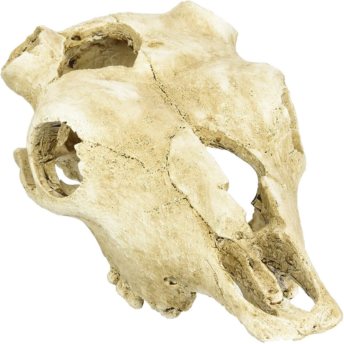 

Декорация Lucky Reptile Череп Skull Cow DS-B