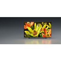 Телевизор Sony KD-70XF8305