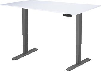 ErgoSmart Unique Ergo Desk 1380x800x18мм (альпийский белый/черный)