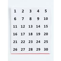 Алмазная мозаика  Школа талантов Натюрморт 10656186