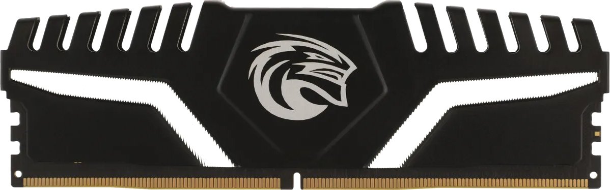 

Оперативная память KingSpec Storm 8ГБ DDR5 4800 МГц KS4800D5M11008G