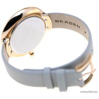 Наручные часы Skagen SKW2139