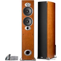 Напольная акустика Polk Audio RTi A5