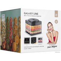 Сушилка для овощей и фруктов Galaxy Line GL2630 (серый)