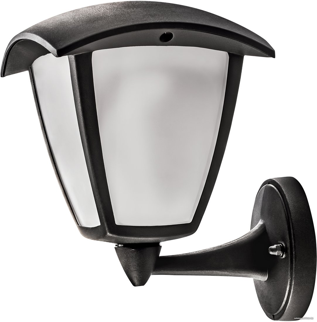 Уличный настенный светильник Lightstar Lampione 375670