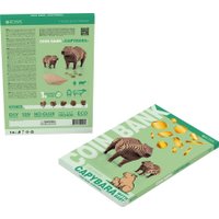 3Д-пазл Eco-Wood-Art Капибара - копилка