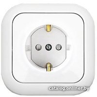 Розетка Bylectrica Гармония РС16-253 (белый)