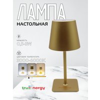 Настольная лампа TruEnergy 29001
