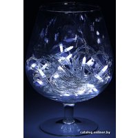 Светодиодная гирлянда Luazon Метраж Игла Led-50 (5 м, белый) [1080511]