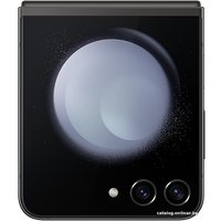 Телефон Samsung Galaxy Z Flip5 SM-F731B/DS 8GB/256GB (серый)