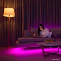 Готовый комплект светодиодной ленты Yeelight LED Lightstrip 1S YLDD05YL 2 м