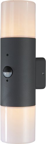 Уличный настенный светильник ESCADA 534/2A E27*60W Dark grey
