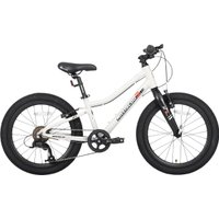 Детский велосипед Maxiscoo 3bike 20 L 2025 MSC-M3-2003 (серый, разобранный)