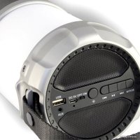 Беспроводная колонка Ginzzu GM-889B