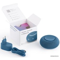 Умная колонка VK Капсула Мини (морской синий)