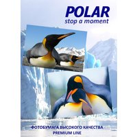 Самоклеящаяся бумага Polar A4K0105005 универсальная, 1 деление, A4, 100 г/м2, 5 л