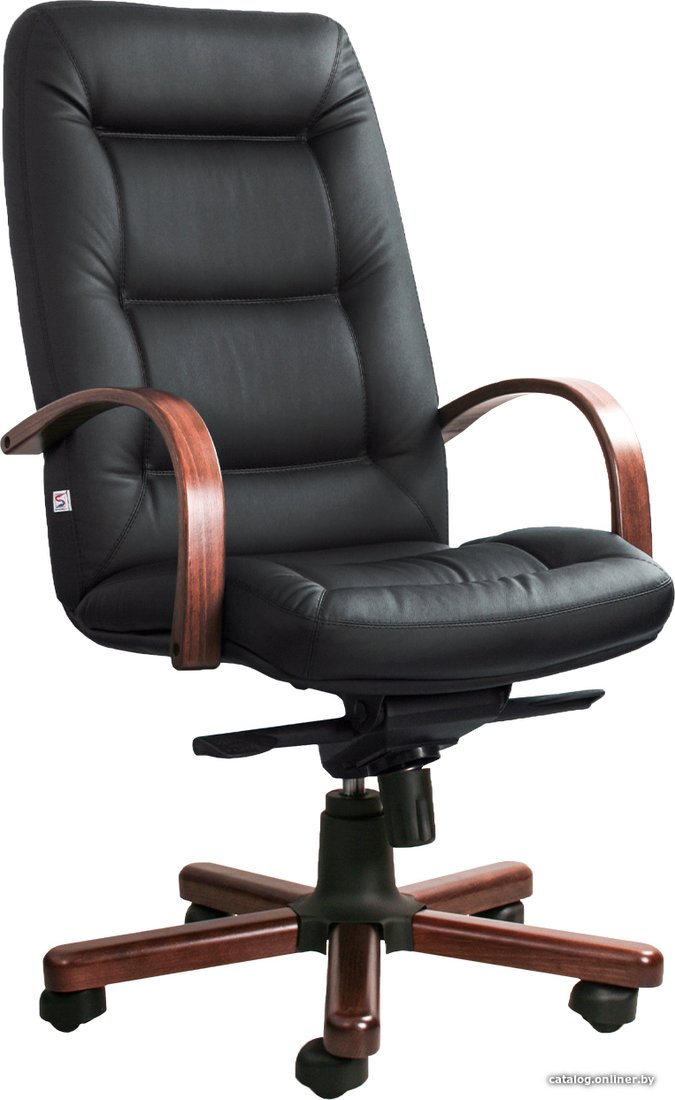 Офисное кресло Белс Senator Extra A SP 400290-75/SPA (натуральная кожа, черный)