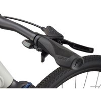 Велосипед Giant Roam 3 Disc L 2021