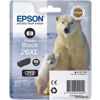 Картридж Epson C13T26314010