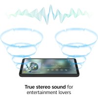 Телефон Sony Xperia 10 VI XQ-ES72 8GB/128GB (черный)