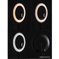 Кольцевая лампа Raylab RL-0118 Kit