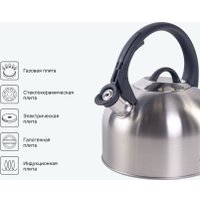 Чайник со свистком Attribute Tradition AKT003