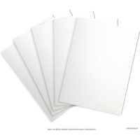 Пенокартон BRAUBERG матовая 70x100 620 г/м2 5 л 112476