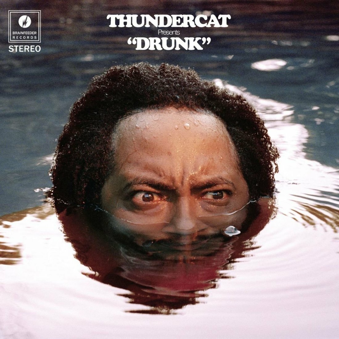 

Виниловая пластинка Thundercat - Drunk