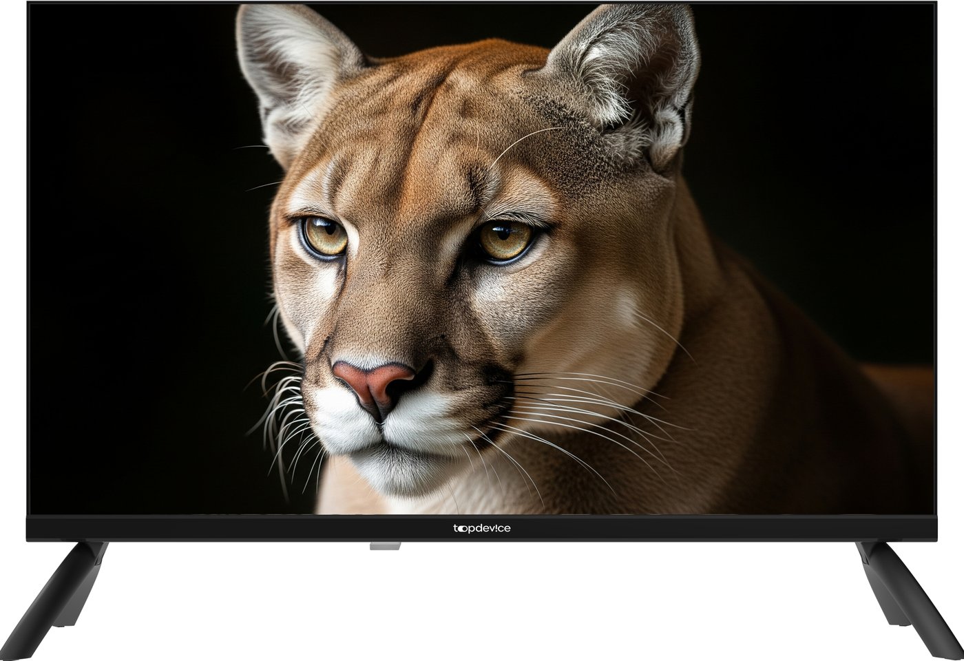 Телевизор Topdevice 24 TDWC24BH1000I