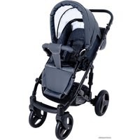 Универсальная коляска Ray Corsa Ecco (2 в 1, 21)