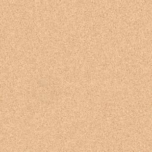 

Линолеум Tarkett Primo Plus 304 (2x2м)