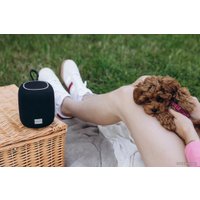 Беспроводная колонка Canyon BSP-8 (бордовый)