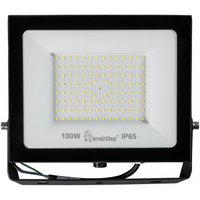 Уличный прожектор SmartBuy SBL-EFL-100-65