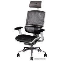 Офисное кресло Thermaltake CyberChair E500 GGC-EG5-BWLFDM-01 (серый)