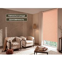 Жалюзи горизонтальные АС МАРТ 97 170x160 (чайная роза)