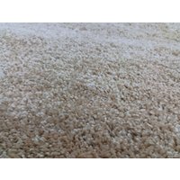 Ковер для жилой комнаты Витебские ковры Шегги прямоугольник 18С34-ВИ sh 57 (1x2)