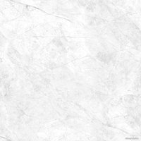 Керамогранит (плитка грес) Foir Group Rayan 600x600 NP (полированный)