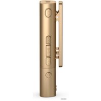 Наушники Sony SBH54 (черный/золотистый)