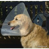 Защитный воротник Beeztees 796006 (47-57/30 см)