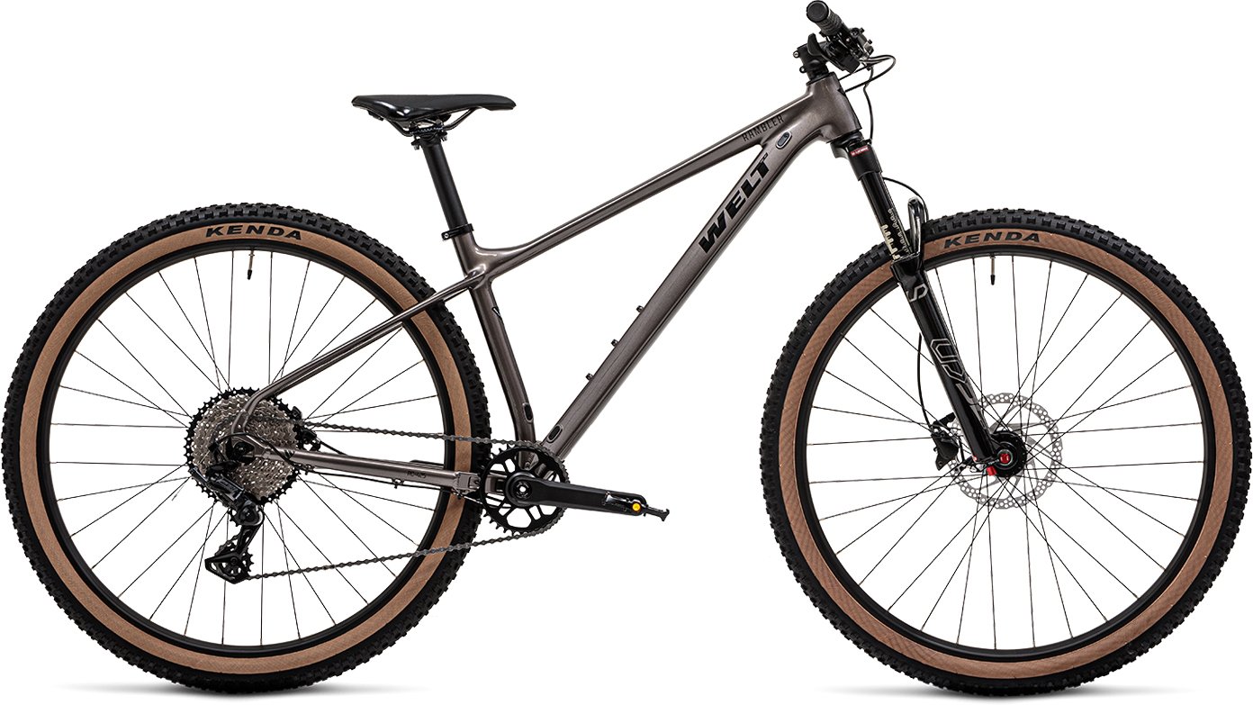 

Велосипед Welt Rambler 1.0 L 2025 (Luxury Graphite)