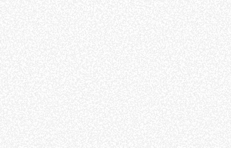 

Флизелиновые обои Аспект 40005-005